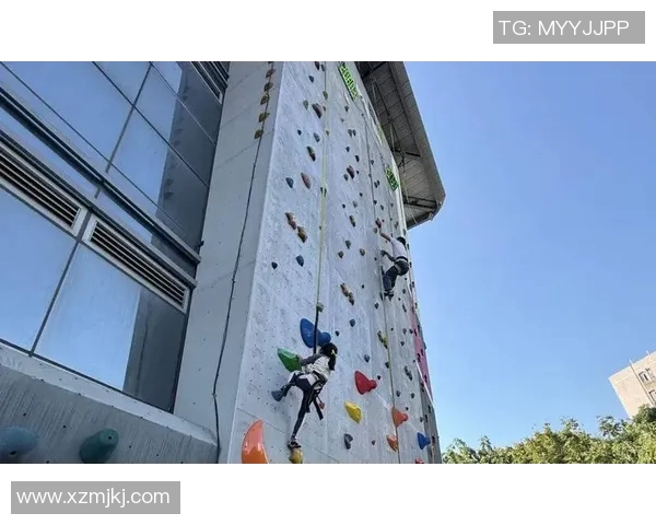 上海攀岩队的节奏变化与成绩分析探讨攀岩运动的未来发展方向